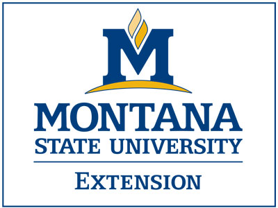 MSU Extension Logo