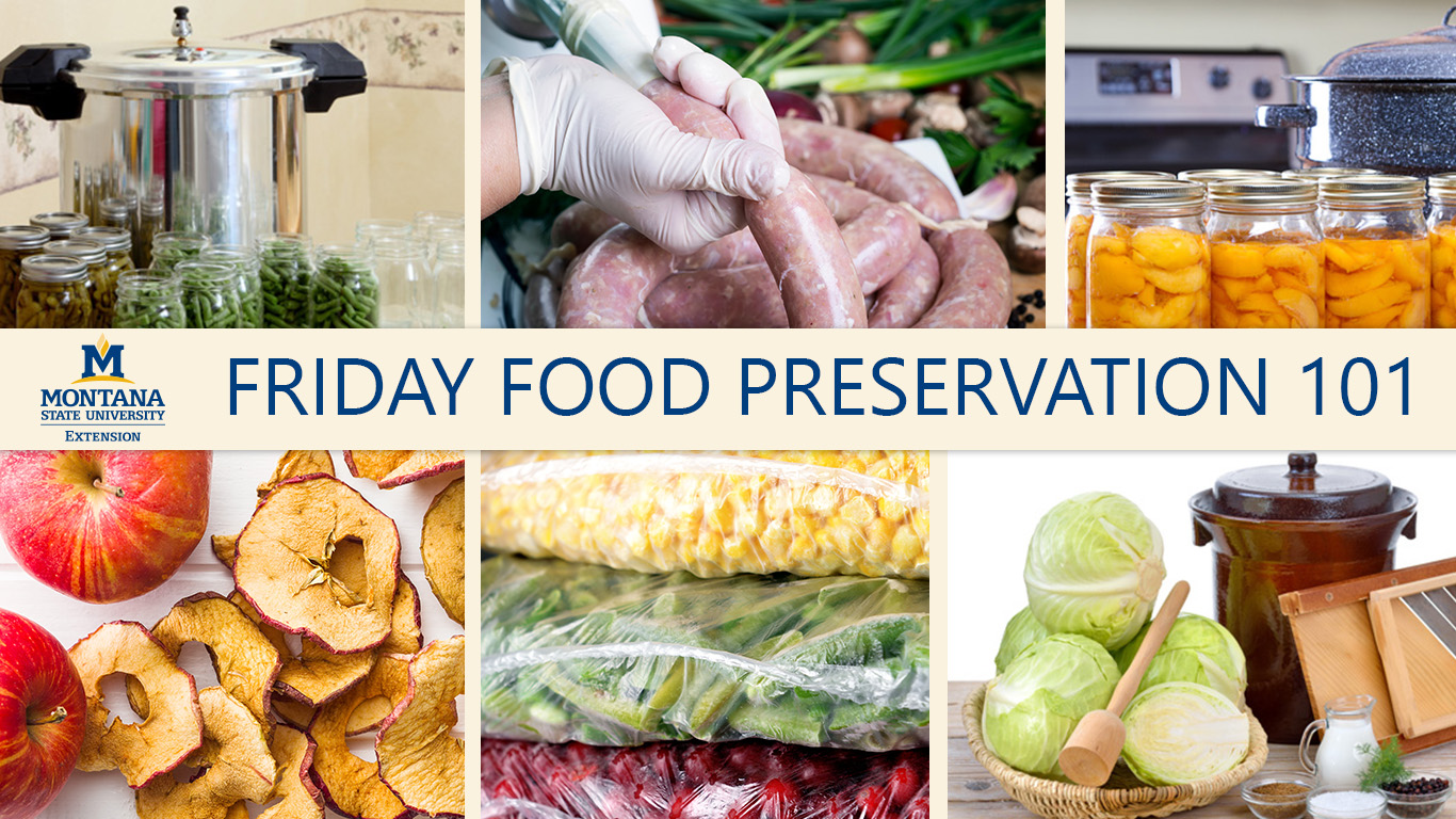 friday food preservation image